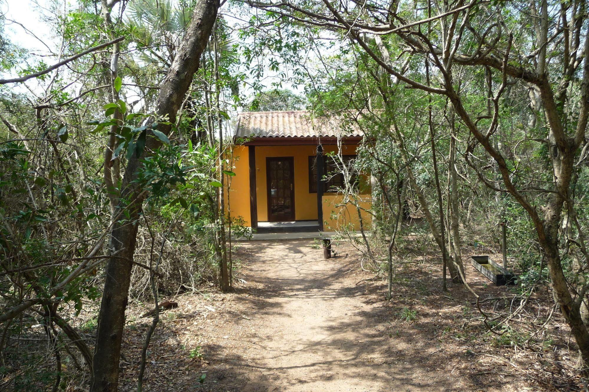Isinkwe Backpackers Bushcamp Hotel Hluhluwe Exterior foto