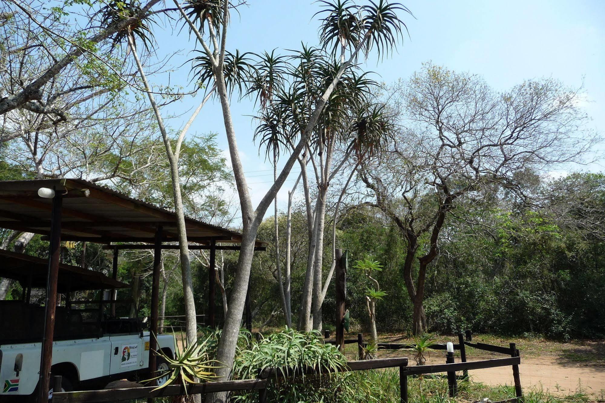 Isinkwe Backpackers Bushcamp Hotel Hluhluwe Exterior foto
